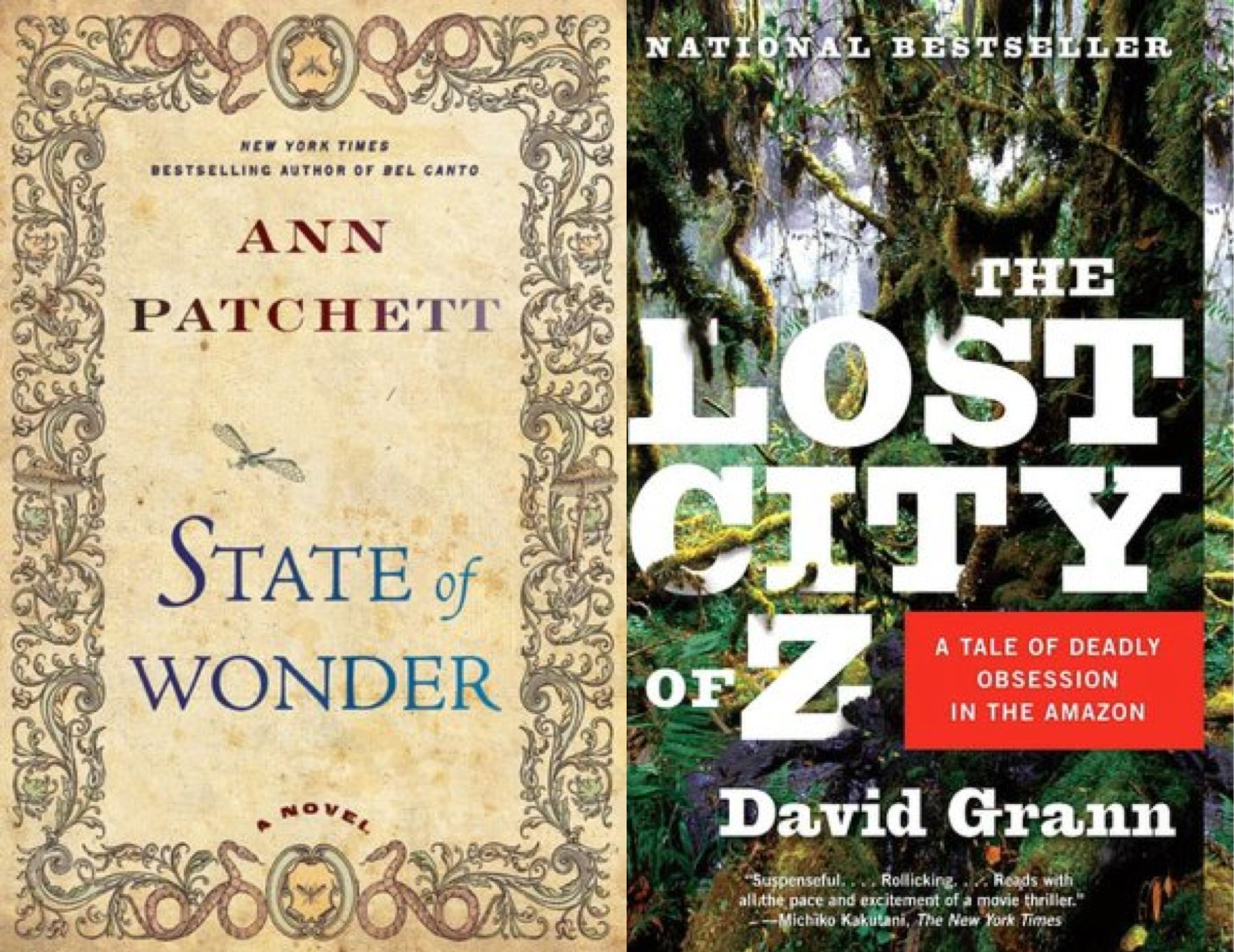 state-lost book covers