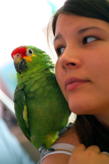Woman with parrot