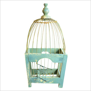 Bird cages