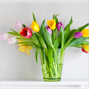 Tulips