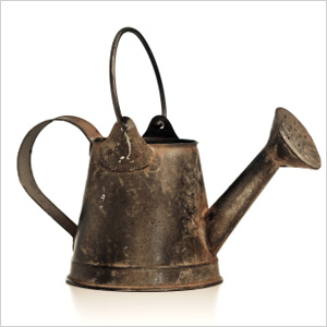 Watering can