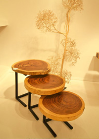 Sliced wood gets a modern spin as nesting tables with clean metal legs.