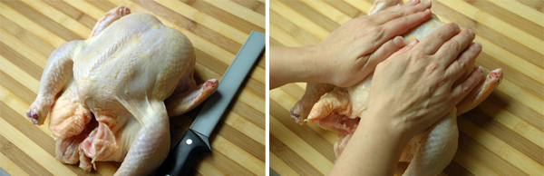 chicken fabrication