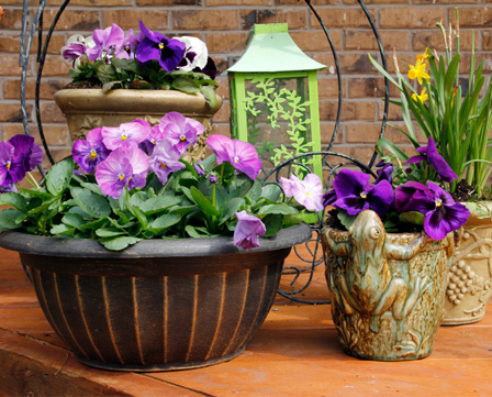 Gardening Pots on Container Friendly Plants And Our Favorite Planters