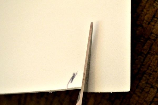 cut