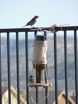 DIY wine bottle bird feeder -- Step 4