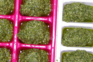 Ice cube pesto