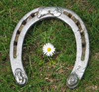 horseshoe