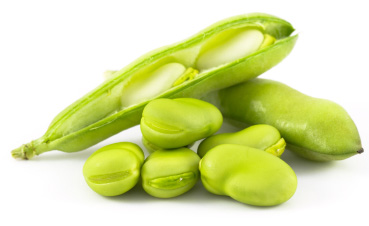 Fava beans