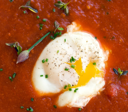 Poached egg in tomato soup