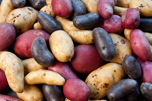Heirloom Potatoes
