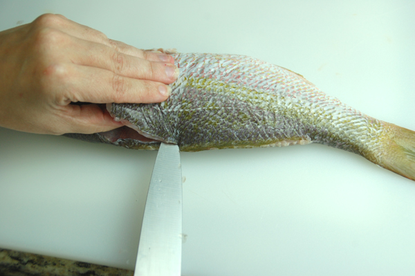 fillet a round fish