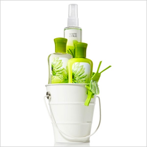 Bath and Body Works Mini Signature Tin Gift Set