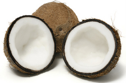 Coconut