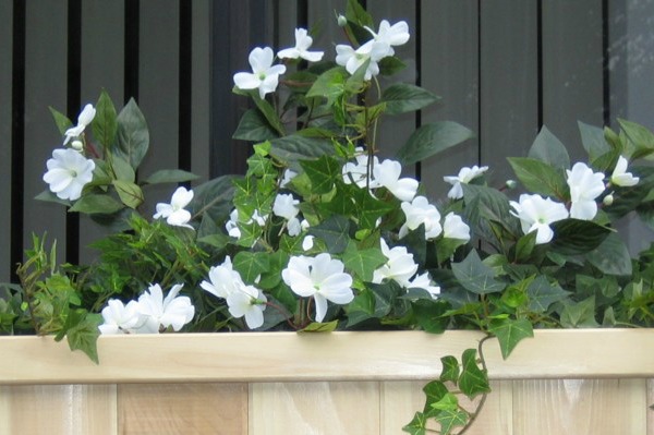 Container gardern