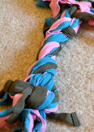 Dog toy