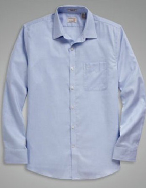 Iron Free Shirt