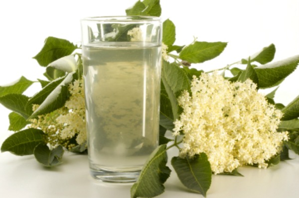 Elderflower cordial