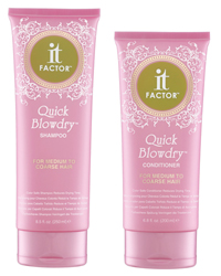 It Factor Quick Blowdry Shampoo and Conditioner