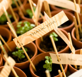 Herb planters as a wedding gift