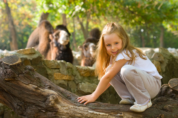 Little girl at zoo