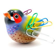Magnetic bird