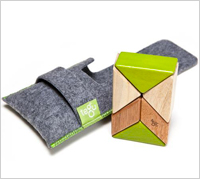 Tegu Pocket Pouch Prism