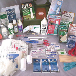 Emergency kit