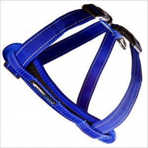 Harness