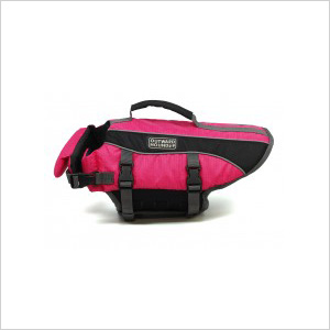 Life Jacket