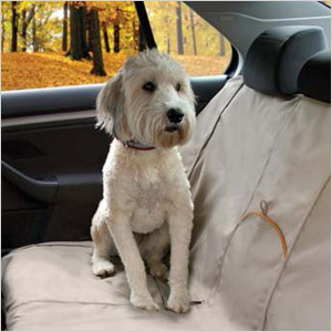 Seat cover