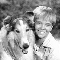 Lassie
