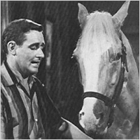 Mr. Ed
