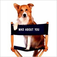 Murray the Dog