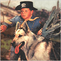 Rin Tin Tin