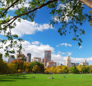 Central Park