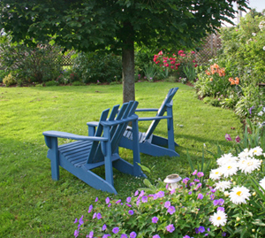 Revive your lawn