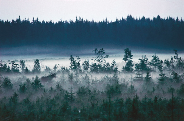 Sweden
