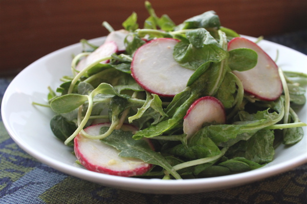 Arugula radish salad with avocado dressing