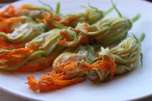 Stuffed zucchini blossoms