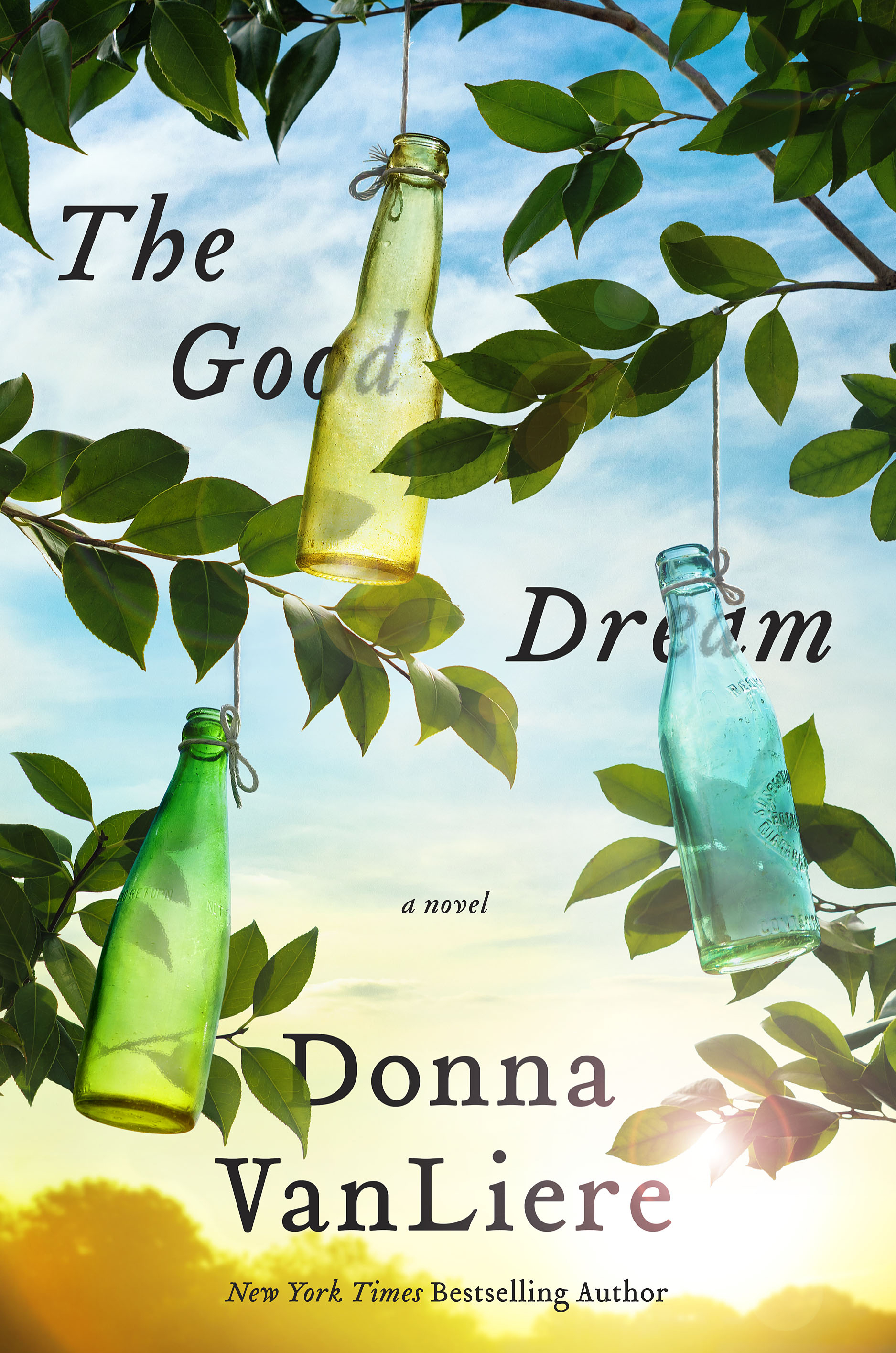 the good dream by donna vanliere