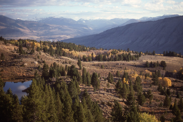 Yellowstone