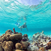 Snorkeling in Belize