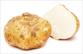 Jicama