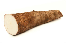 Yucca