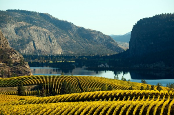 Canadian winery