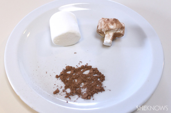 Candy kekbabs -- Dust marshmallow with coco