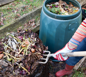 Start a compost bin