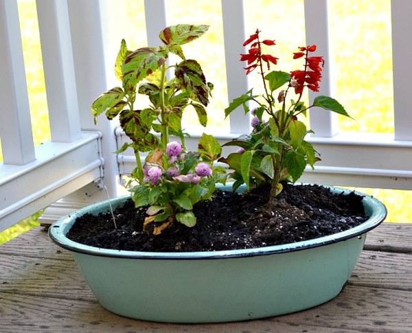 tub garden
