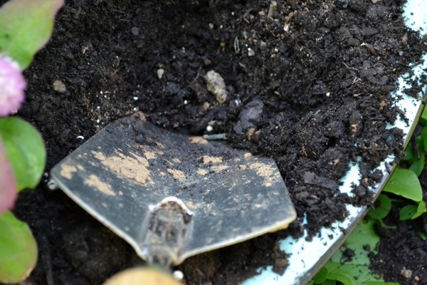 dig